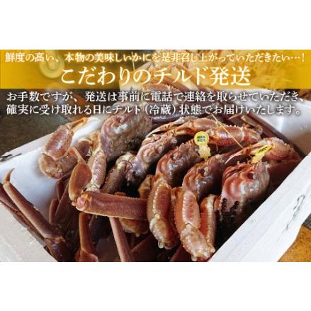 ふるさと納税 福井冬の味覚！越前がに 1杯（900g〜1kg） 福井県鯖江市