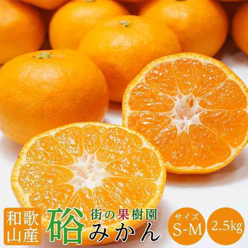 送料無料 和歌山県産下津 硲 みかん S-Mサイズ 約2.5kg 和歌山 みかん 2.5kg お歳暮 フルーツ ギフト