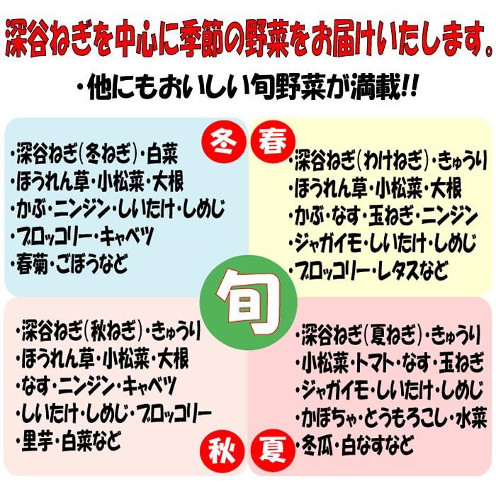 深谷ねぎ入り・食べ切り野菜セット 5〜7品目