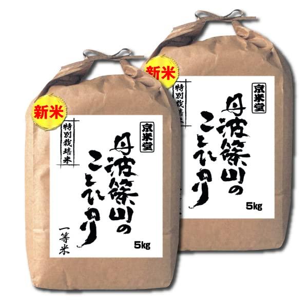 お米 10kg コシヒカリ 白米 5kg×2袋 丹波ささ山産 特別栽培米 7.5割農薬減 兵庫県 白米 一等米 令和5年産