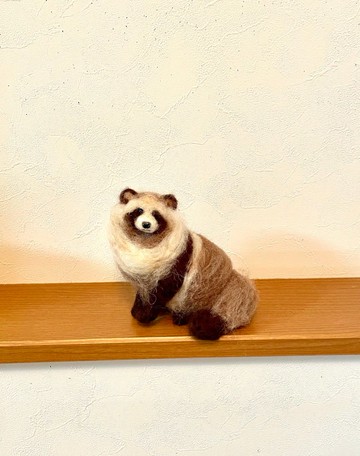 狸貓