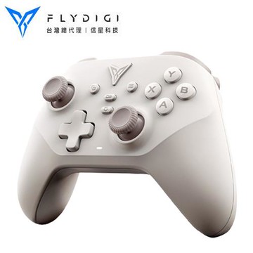 FLYDIGI 飛智 沙漠狐 遊戲手把
