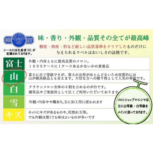 ふるさと納税 静岡県 掛川市 ５７６１　マスクメロンの最高峰 クラウンメロン 上  1.25ｋｇ以 上× ２玉 メロンショップマエシマ