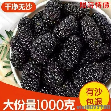【熱銷】份量超足 買1送1共1000g超大罐500g罐 桑葚乾 新疆特產吐魯番桑葚果乾黑桑葚乾泡水果干