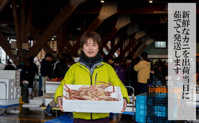 茹で越前ガニ食通もうなる本場の味をぜひ、ご堪能ください。約1.2kg 2尾セット 越前がに 越前かに 越前カニ カニ ボイルガニ