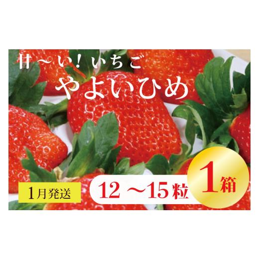 ふるさと納税 茨城県 行方市 V-20 甘〜い！いちご　やよいひめ　12粒〜15粒入り　1箱