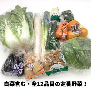 （白菜・キャベツ・大根・玉葱・胡瓜・茄子・人参・じゃがいも・しめじ・えのき・長葱・ピーマン）【大田