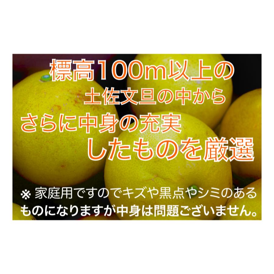 厳選 園主こだわり土佐文旦5kg大玉 果物 くだもの 柑橘