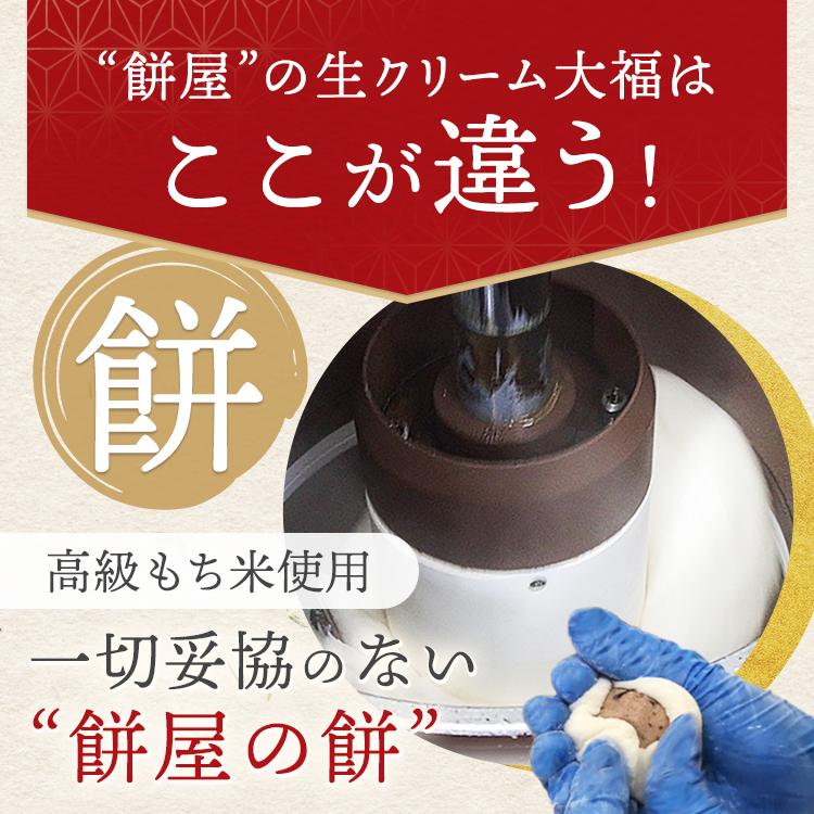 一升餅 生クリーム大福 1歳 お祝い セット 送料無料 小分け 将来の才能や職業を占う選び取りカード付き 米どころ新潟県産の最高級もち米 こがねもち 使用