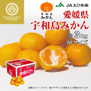 [予約 2024年1月1日必着] 宇和島みかん Mサイズ 約3kg 愛媛県 産地箱 レギュラー 産地箱 お正月必着指定 お年賀 御年賀 冬ギフト