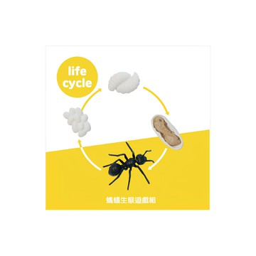 POKI生態遊戲系列 遊戲組 仿真模型 韓國KC安全認證  螞蟻生態 多色  1組