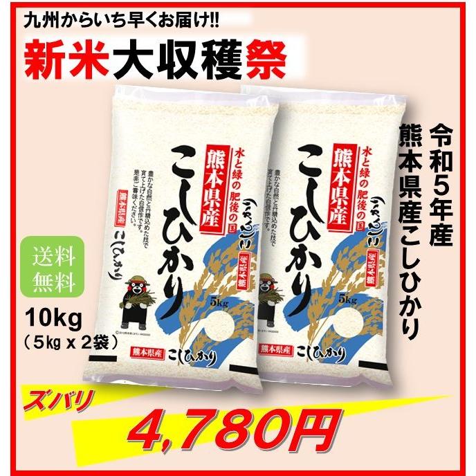 新米　米　お米　１０ｋｇ　（５ｋｇ×２）　くまモン　熊本県産　こしひかり　令和５年産　送料無料