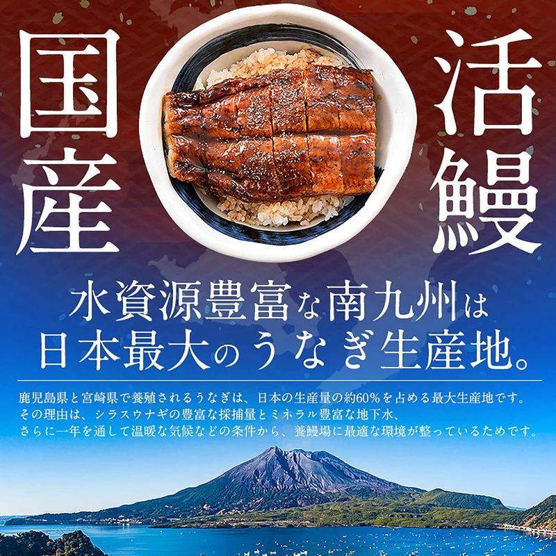 港ダイニングしおそう 鰻蒲焼き 無頭 鹿児島・宮崎県産 (特大サイズ 約200g×2尾) 約4人前 ギフト用化粧箱入り 国産 ウナギ うなぎ