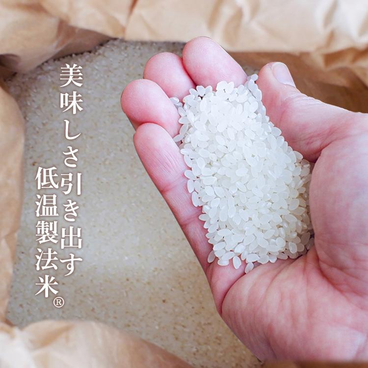 無洗米 300g 国産こしひかり 令和4年度産 米 生鮮米 低温製法米 お米 白米 一人暮らし アイリスフーズ