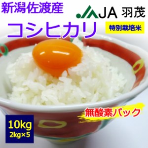 　佐渡産　コシヒカリ　２ｋｇ×５個　１０kg　 お取り寄せ　10キロ