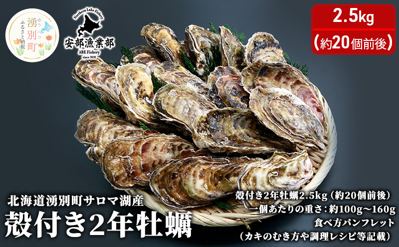 北海道 湧別町 サロマ湖産 殻付き 2年牡蠣 2.5kg（約20個前後）