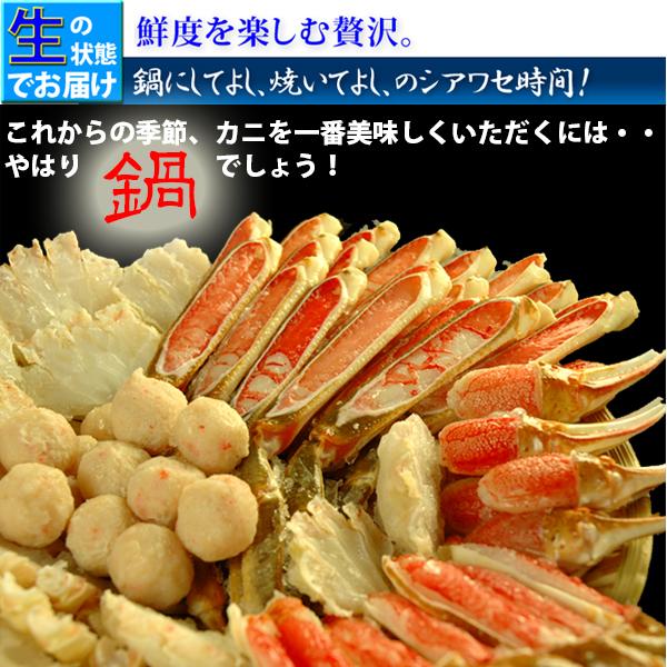 松葉ガニ（松葉がに）700〜790g（大サイズ）×1枚 日本海産 未冷凍 お歳暮ギフト 送料無料（北海道・沖縄を除く）