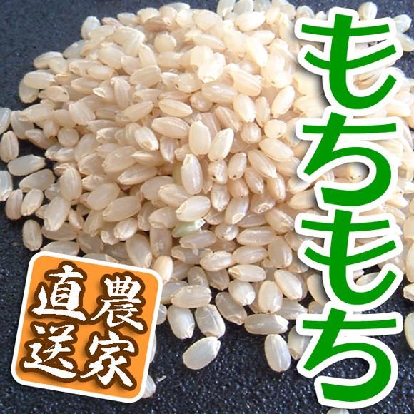 新米 お試しセット お米 玄米 白米 令和5年産 送料無料 3kg