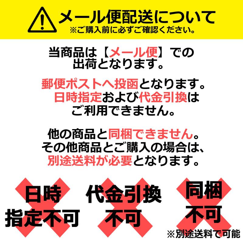 ササキスポーツ ササキ 新体操 レザーハーフシューズ ベージュ