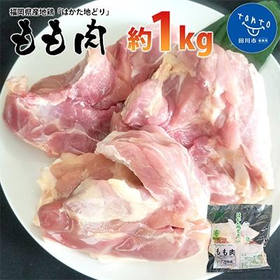 ふるさと納税 田川市 福岡県産地鶏「はかた地どり」もも肉(約1kg)(田川市)