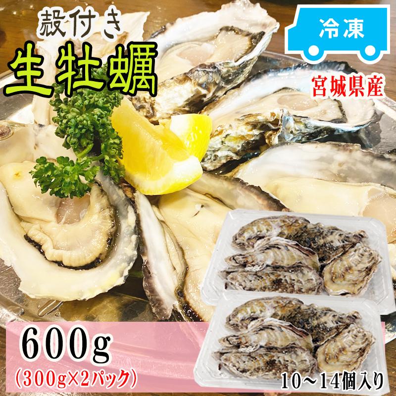 牡蠣 瞬間冷凍 レンジでチン 国産 宮城県産 600g 10〜14個入り (300g×2パック) 冷凍 お取り寄せ 送料無料 殻付き [加熱用生牡蠣2袋 宮城県産] ship-sd