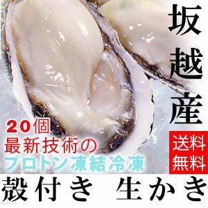 坂越かき　冷凍殻付牡蠣20個 (加熱用) ★驚きのぷりぷりで美味しい牡蠣♪ 熱を加えても縮まない魔法の牡蠣。