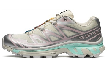 SALOMON XT-6 CRADLE POWDER