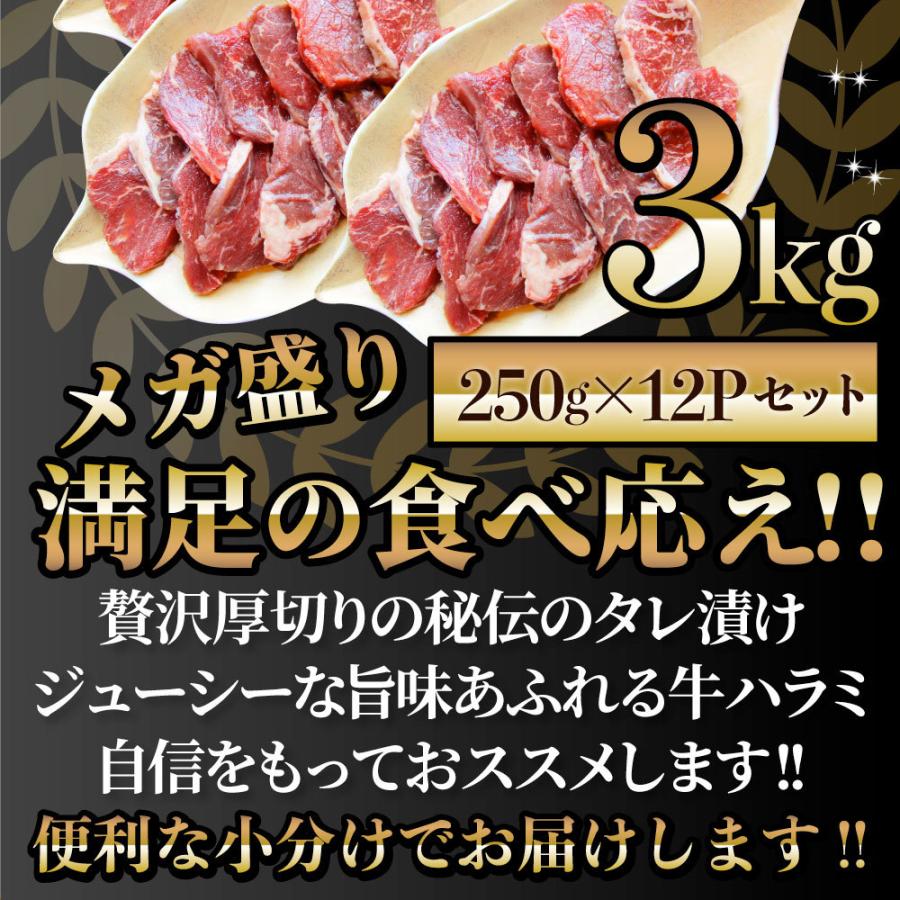 牛ハラミ焼肉（タレ漬け）3kg（250g×12） タレ 赤身 はらみ 秘伝 焼肉 やきにく ハラミ アウトドア お家焼肉 BBQ キャンプ キャンプ飯