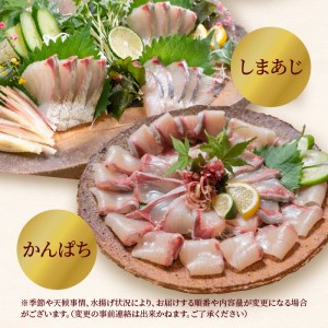 定期便 定番シリーズ 活〆鮮魚のお刺身 (3ヶ月お届け)　N019-ZD041