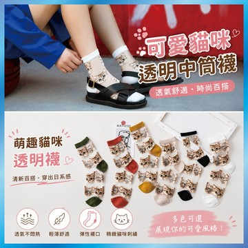 可愛貓咪透明襪 女襪 春夏日系襪子 玻璃絲襪 IG風中筒襪 女生短襪 水晶襪 透氣薄襪 B48