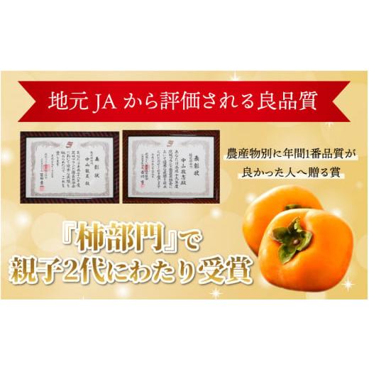 ふるさと納税 福井県 あわら市 越前柿 16個入 約2.5kg（M〜2L）≪JA受賞歴親子２代≫ ／ 果物 フルーツ 柿 産地直送 期間限定 ※2024年11月上旬よ…