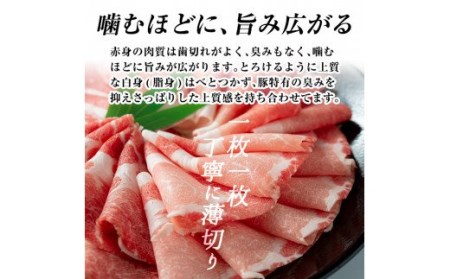 B-008 鹿児島黒豚しゃぶしゃぶセット(800g)