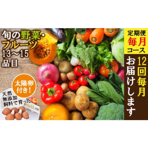 ふるさと納税 長崎県 雲仙市 旬の野菜・フルーツセット定期便 13品目から15品目の豪華セット