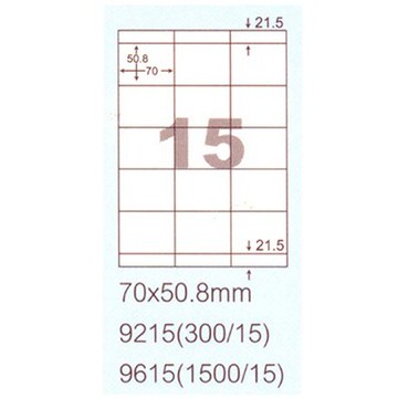 【文具通】WenLung 文隆華麗牌 阿波羅 9615影印雷射噴墨用 自黏貼紙 15格70x50.8mm 100入 P1410692【APP滿額下單10%點數(單一帳號最高5000點)】1/31止