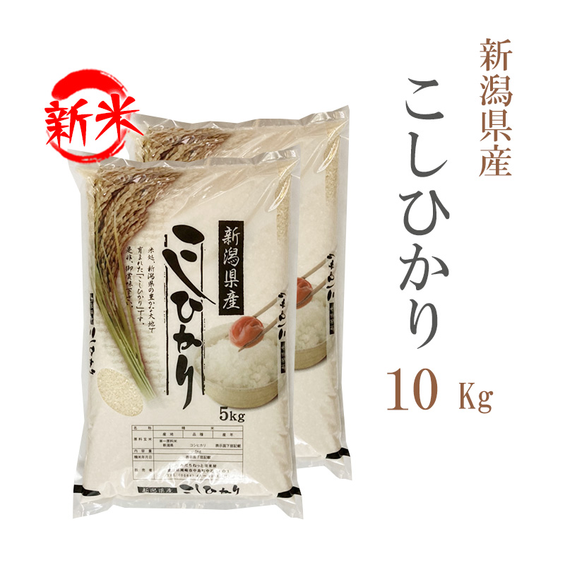 新米 米 白米 10kg 送料無料 コシヒカリ 5kg×2袋 新潟県産 令和5年産 コシヒカリ お米 10キロ 安い 送料無料