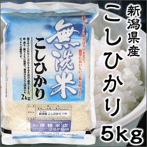 米 日本米 令和4年度産 新潟県産 コシヒカリ BG精米製法 無洗米 5kg