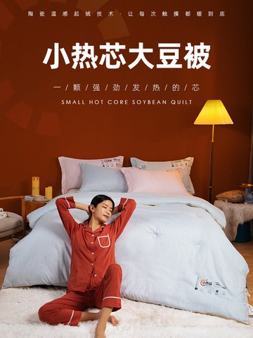 小熱芯大豆纖維被子冬被加厚保暖被芯冬季單人春秋棉被秋冬天被褥