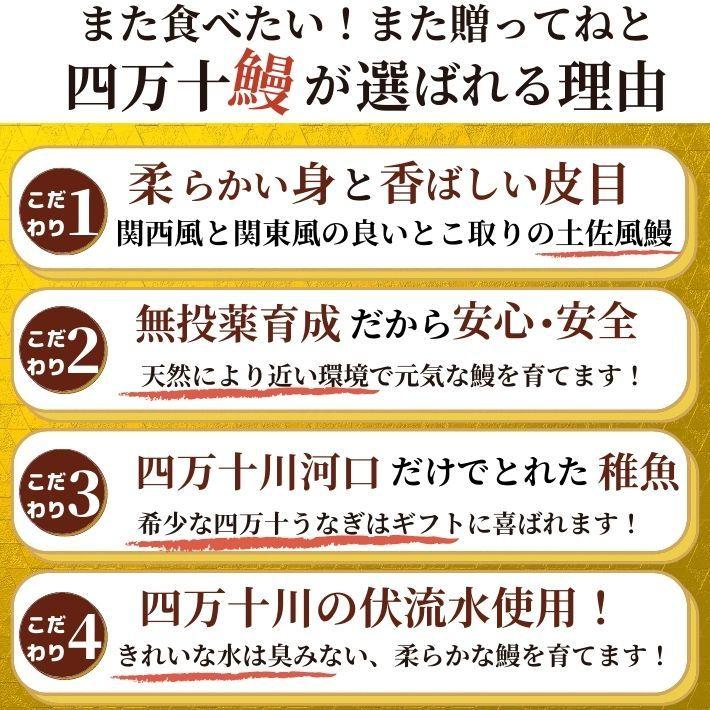 四万十 うなぎ 蒲焼き 国産 4尾 無投薬 四万十川 誕生日 ギフト 高知県産