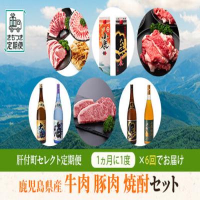 ふるさと納税 肝付町 肝付町セレクト定期便《鹿児島県産牛豚肉・焼酎セット》E44007