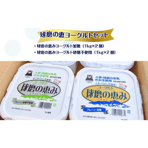 ふるさと納税 熊本県 湯前町 とろ〜りもっちり!球磨の恵みヨーグルトセット(加糖・砂糖不使用各1kgx2個 計4個)計48kg