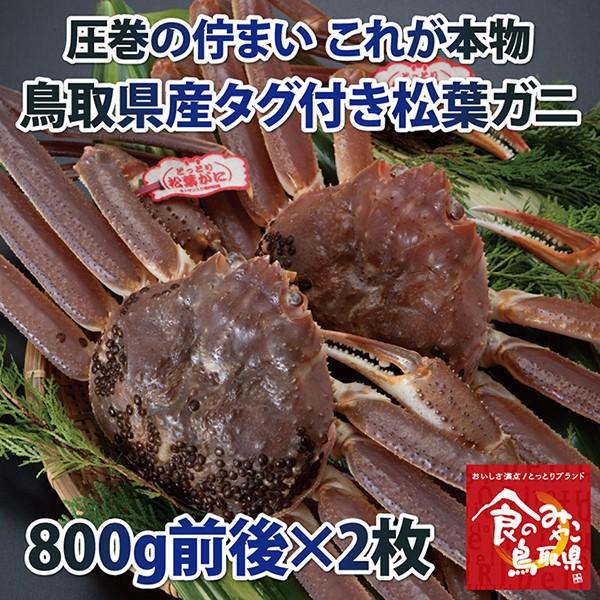 タグ付き松葉ガニ(活) 大サイズ2枚で1.6kg前後