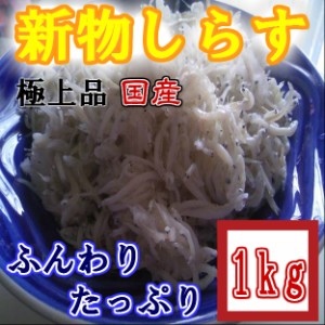 送料無料セット売り　しらす 干し 国産 極上品 (1kg×2個) のし対応 お歳暮 お中元 ギフト BBQ 魚介