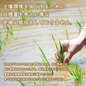 令和５年産秋田県産あきたこまち 家計お助け米27kg