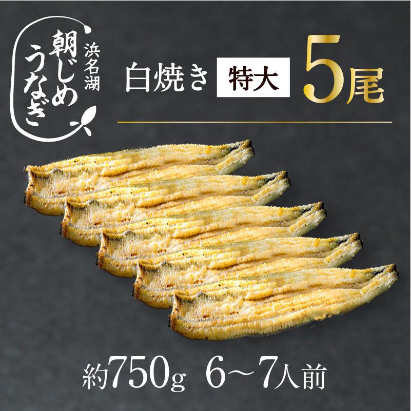 お中元 うなぎ 国産 特大 朝じめ 特選 鰻 白焼き 5尾セット 送料無料