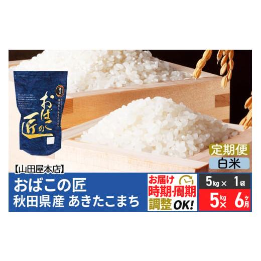 ふるさと納税 秋田県 美郷町 《定期便6ヶ月》令和5年産 おばこの匠 秋田県産あきたこまち 5kg×6回 計30kg 6か月 6ヵ月 6カ月 6ケ月 秋田こまち お米