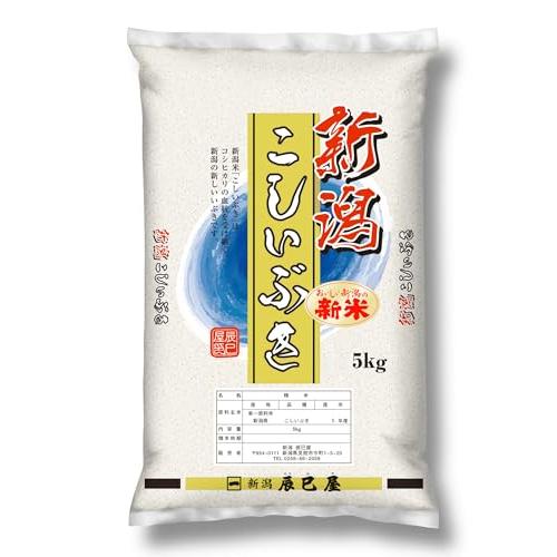 [精米] 新米 新潟県産 こしいぶき 5kg 白米 新潟辰巳屋 令和5年産