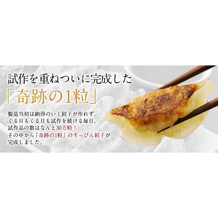 できたて発送 餃子 ぎょうざ すっぴん餃子200個セット 点心タレなしで美味しい ギフト 大阪 冷凍食品 ぎょうざ