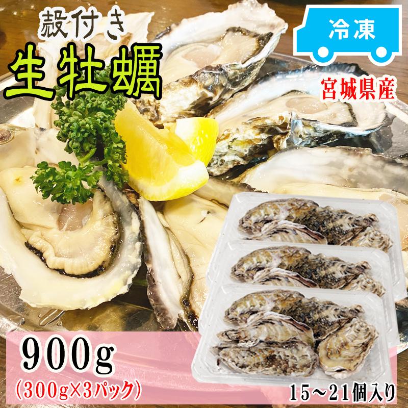 牡蠣 瞬間冷凍 レンジでチン 国産 宮城県産 900g 15〜21個入り  (300g×3パック) 冷凍 お取り寄せ 送料無料 殻付き [加熱用生牡蠣3袋 宮城県産] ship-sd