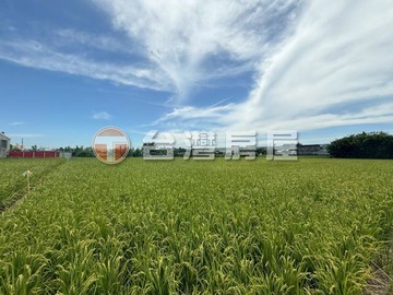 台中清水近五權夜市機能佳美農地｜台中市清水區裕嘉段