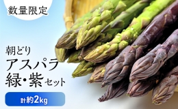 北海道 富良野市産 アスパラ緑(2L～Lサイズ混合)・紫(LMサイズ混合  計約2kg セット 食べ比べ 朝どり 露地 アスパラガス 詰め合わせ 野菜 新鮮 数量限定 先着順